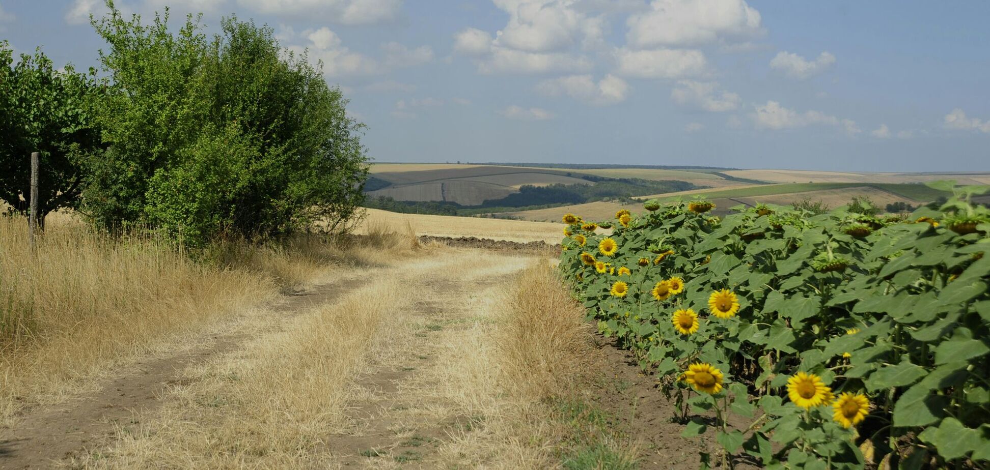 Погода в Україні