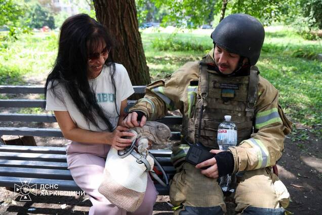 У Харкові з-під завалів багатоповерхівки витягли живого кота: щемливі фото порятунку