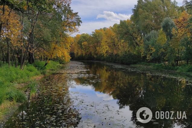 Осінь вже тут: прогноз погоди по Києві та області на наступні 5 діб