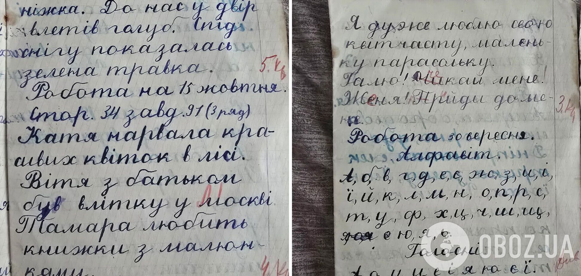 Украинка показала школьную тетрадь 1942 года, в которой все записи сделаны на украинском языке
