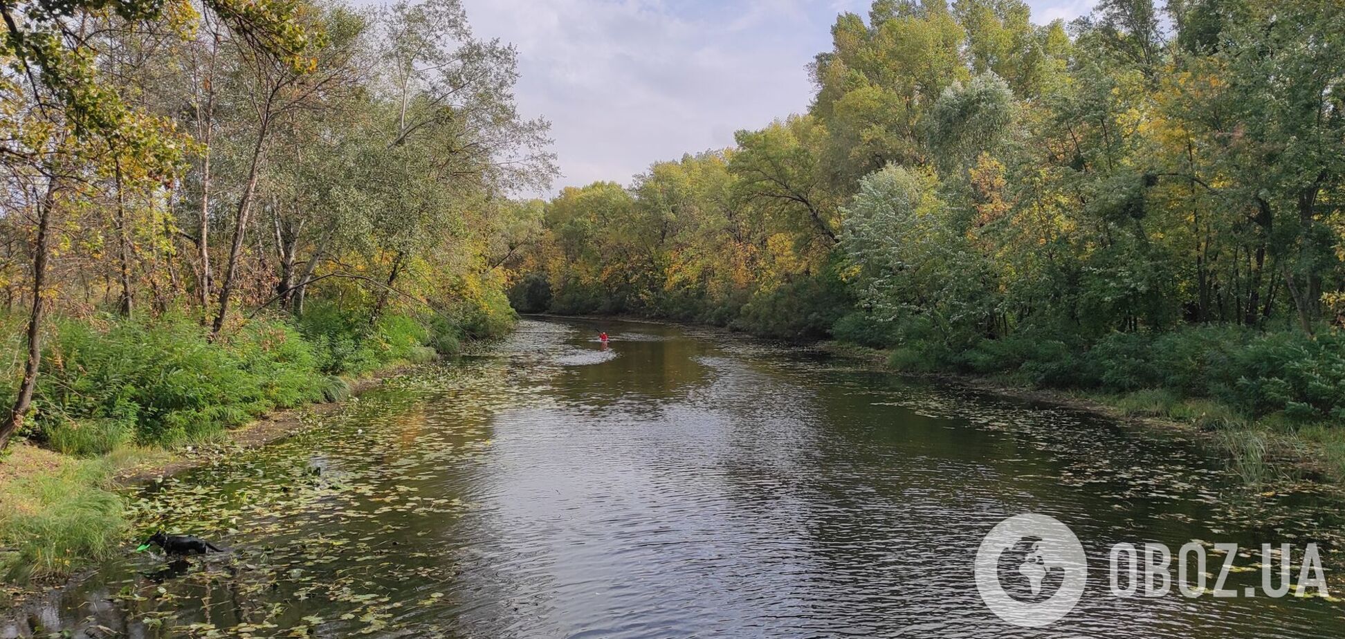 Синоптики прогнозують мінливу хмарність, без опадів