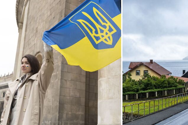 Украинская беженка, Ирландия. Иллюстрация