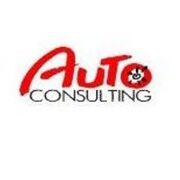 AUTO-Consulting