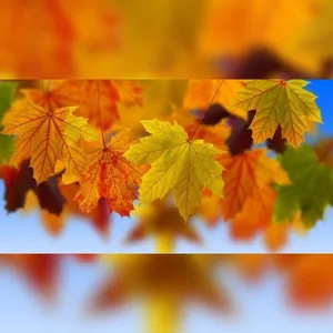 Осенние украинские хиты 2015