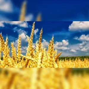 Нові українські хіти 05.2018